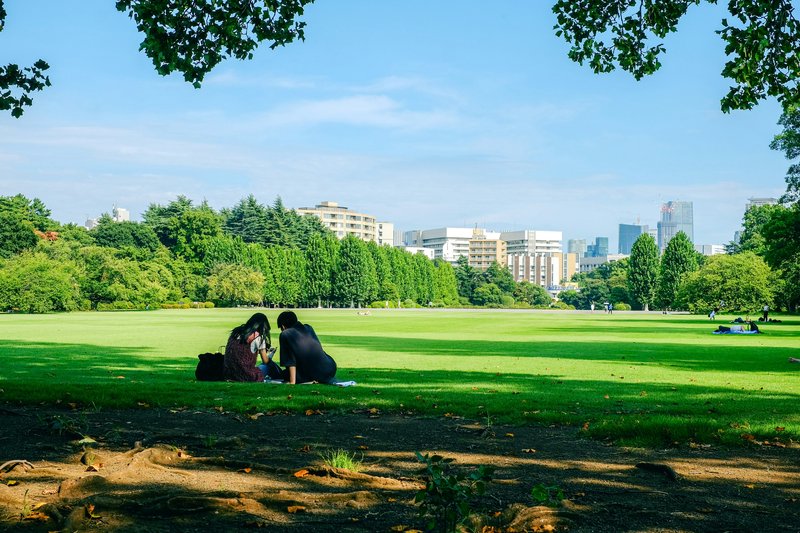 Tokyo: Shinjuku Gyoen Guided Walk with Entry
