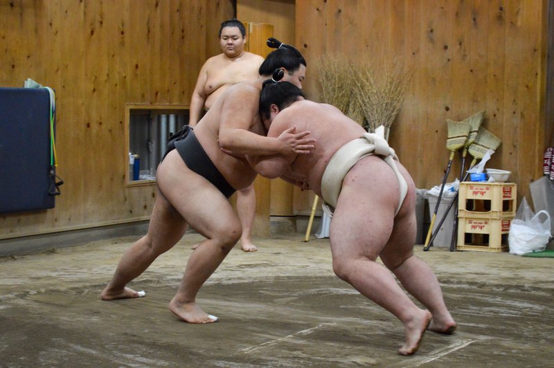 Tokyo Private Sumo Morning Practice & Ring Experience - 3