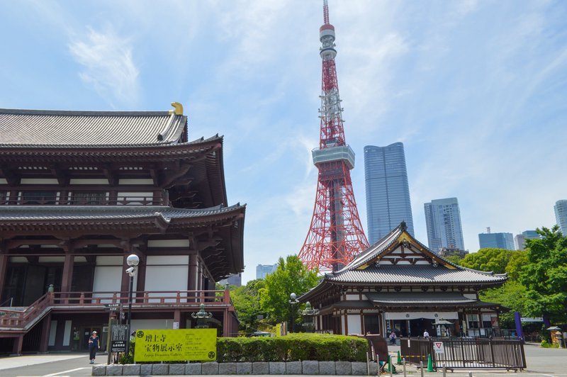 Tokyo: Zojoji Temple & Tokyo Tower Tour with Main Deck Entry - 2