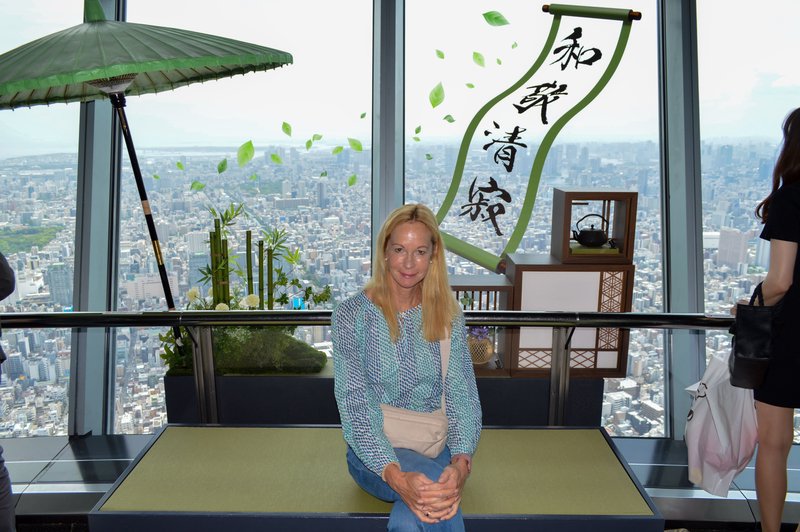 Tokyo: Skytree Guided Tour with Tembo Deck & Galleria Entry - 2